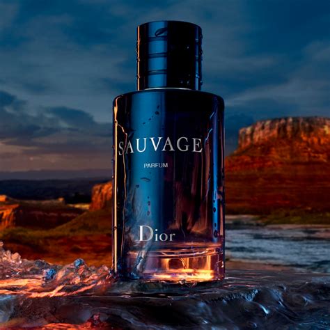 savage dior is for men or women|Sauvage: the world of the iconic Dior fragrance for men .